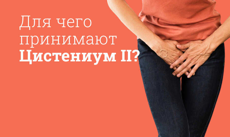 Цистениум инструкция по применению