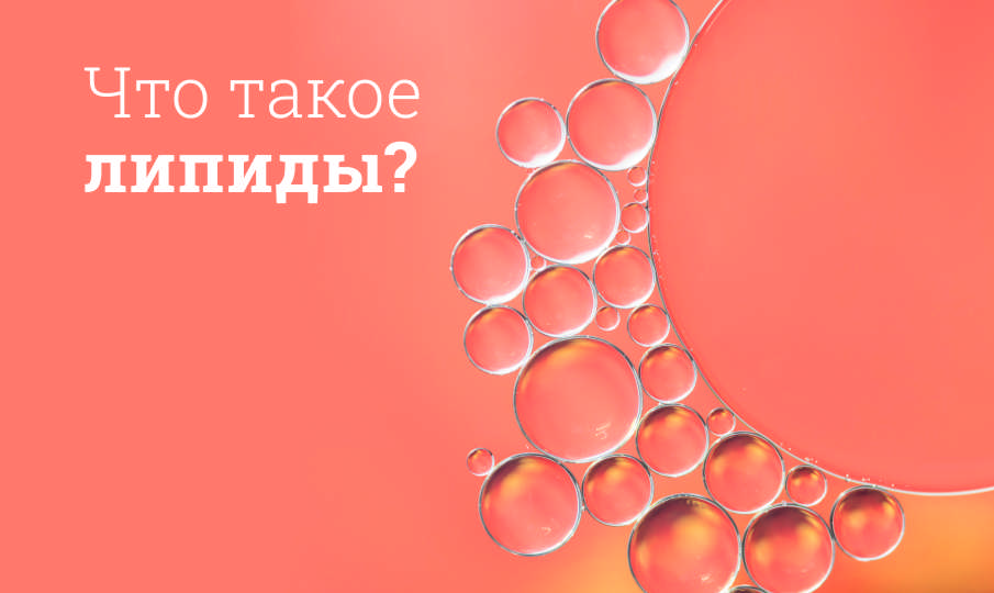 Что такое липиды?