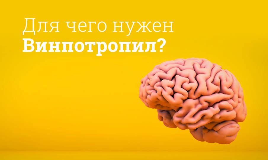 Винпотропил инструкция по применению