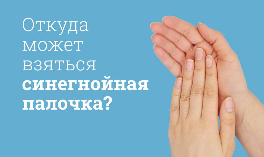 Симптомы синегнойной палочки