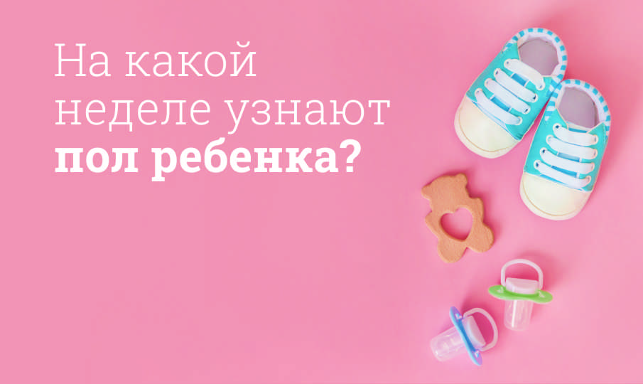 На какой неделе узнают пол ребенка?